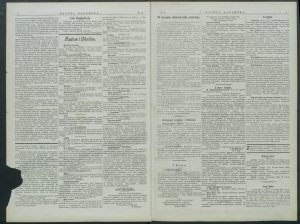 gazeta-1900-10-00002