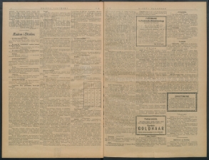 gazeta-1900-15-00002