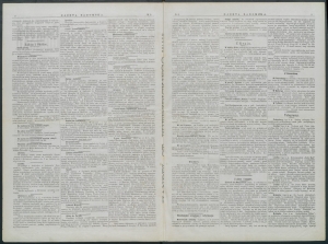 gazeta-1900-2-00002