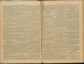 gazeta-1900-26-00003