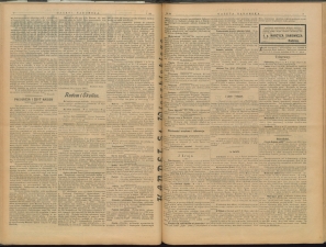 gazeta-1900-34-00002