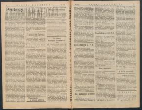 gazeta-1916-262-00002