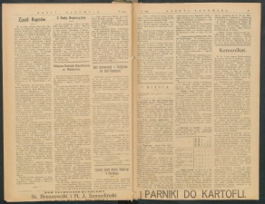 gazeta-1917-247-00002